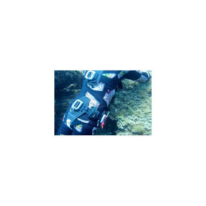 C4 lumbar protector for ballast belt
