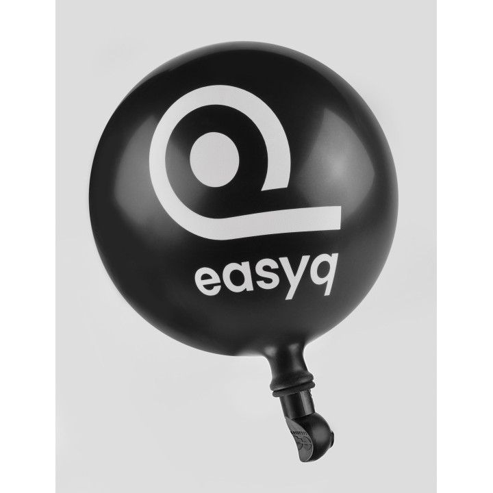 C4 EasyQ equsalization training tool