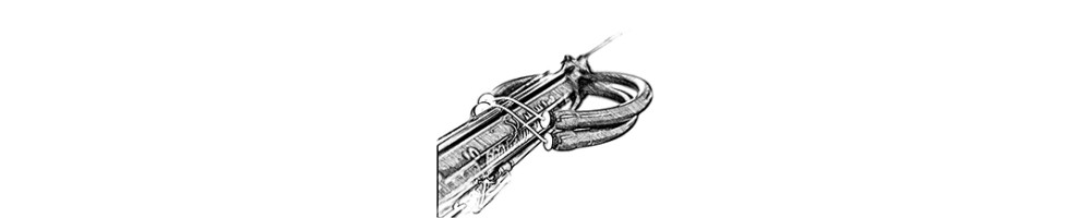 Spearguns
