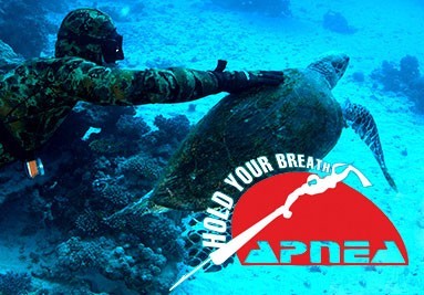 Apnea